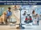 Should Veterinary Gene Therapy Be Regulated as Strictly as Human Gene Therapy