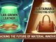 Is Lab-Grown Leather Truly Sustainable, or Just a Sophisticated Marketing Story
